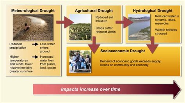 Uncovering The Sophie Rain Spider Leak: Causes And Consequences